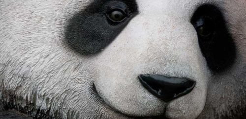 Novo Panda Update 4.1