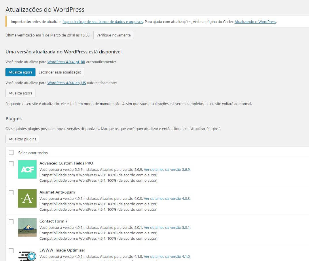 Tela para atualizar o WordPress e seus plugins