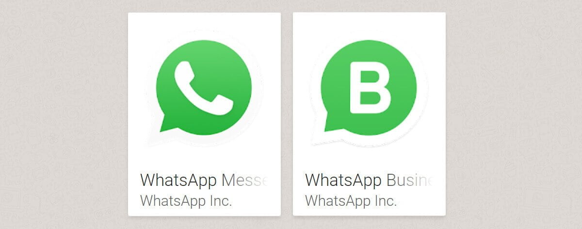 whatsapp business e whatsapp convencional